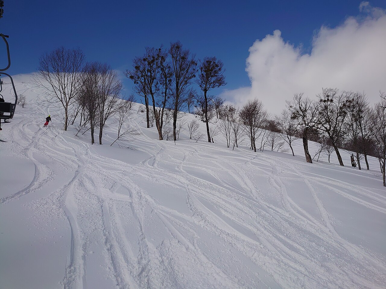 Okutadami Maruyama — snowy off-piste terrain and trees. Photo: ムッさん. Archive image; resized.