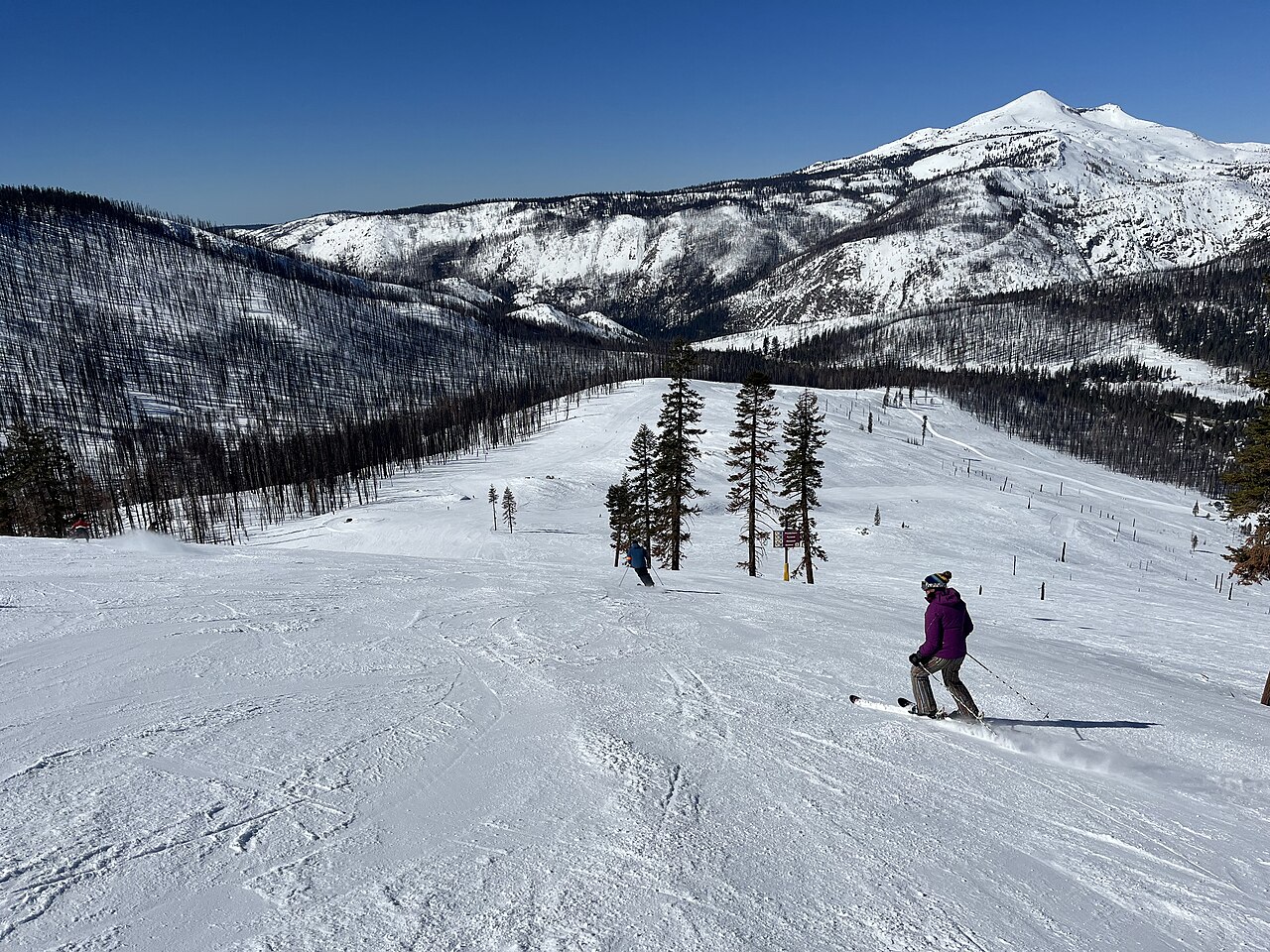 Sierra-at-Tahoe — snowy slopes. Photo: Region 5 Photography. Archive image; resized. Public domain.