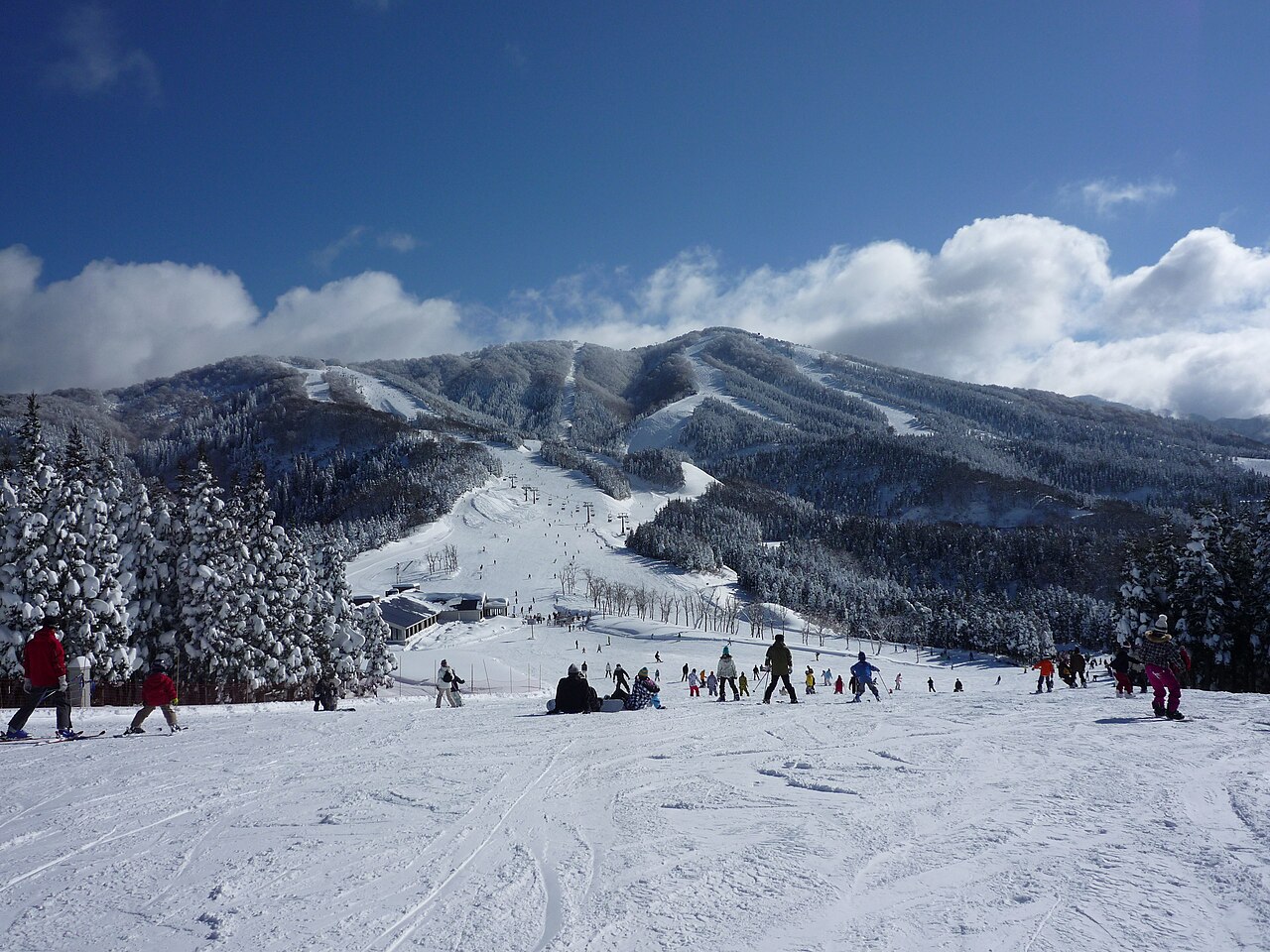 Ski Jam Katsuyama (スキージャム勝山) — skiers on snowy slopes. Photo: Ski Mania. Archive image; resized. Public domain.