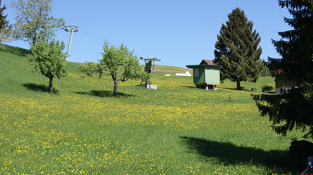 Gurtis — Schlösslelift in summer. Photo: Asurnipal. Archive image; resized.
