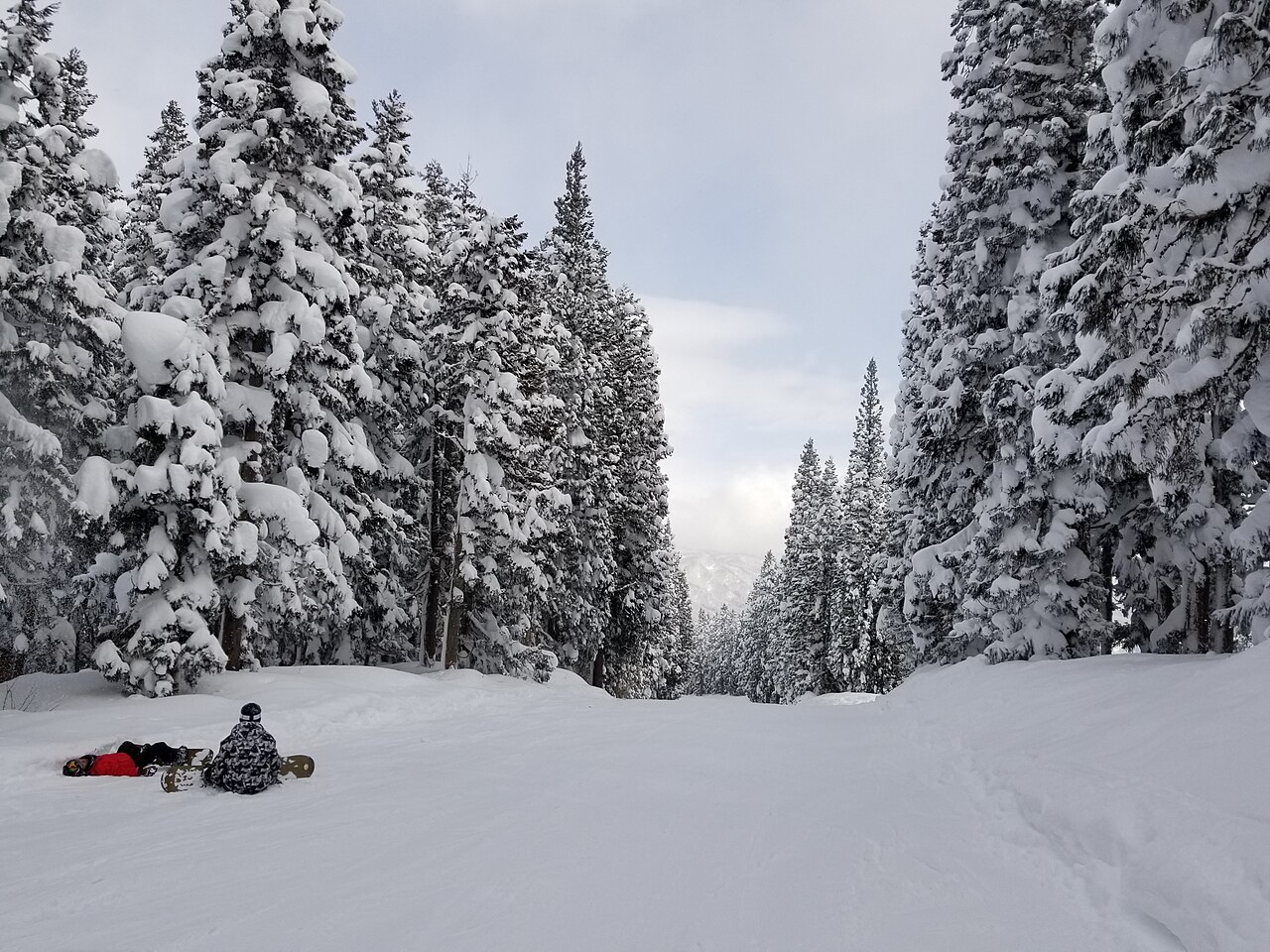 Akakura Onsen Ski Area — snow-covered slopes and trees. Photo: Raita Futo from Tokyo, Japan. Archive image; resized.