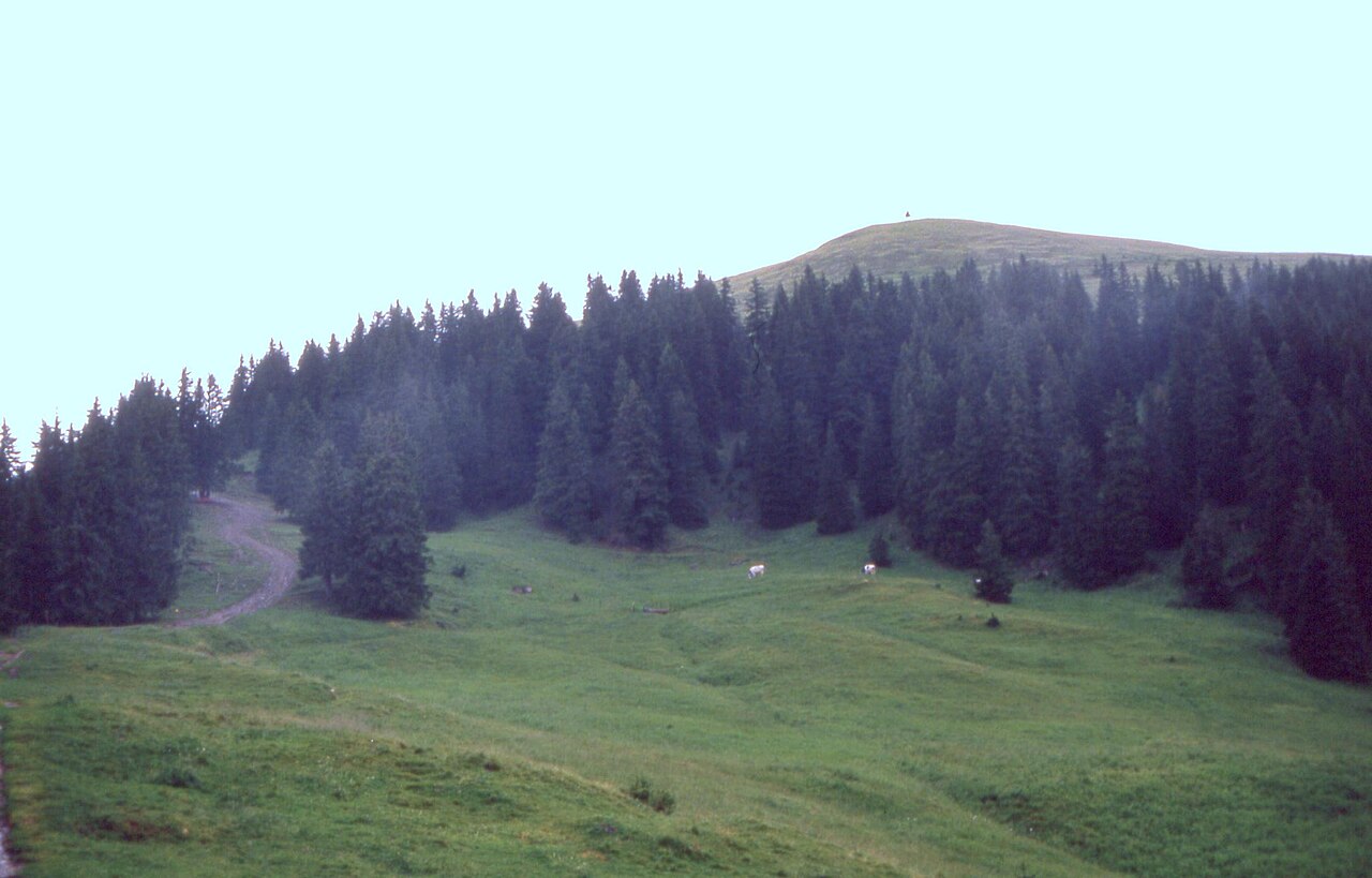 La Berra — summer view towards the summit. Photo: Michael Fiegle at de.wikipedia. Archive image; resized.
